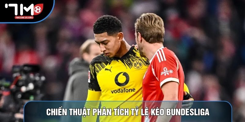 Chiến thuật phân tích tỷ lệ kèo Bundesliga