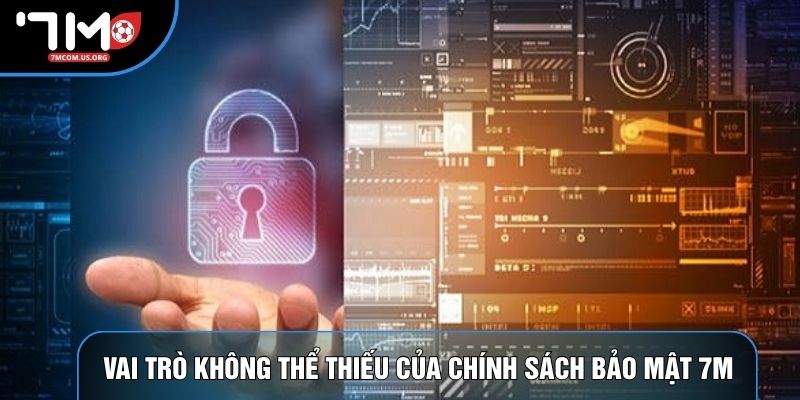 Vai trò không thể thiếu của chính sách bảo mật 7M