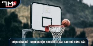 Cược Bóng Rổ - Kinh Nghiệm Soi Kèo Từ Các Cao Thủ Hàng Đầu