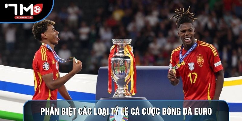 Phân biệt các loại tỷ lệ cá cược bóng đá Euro