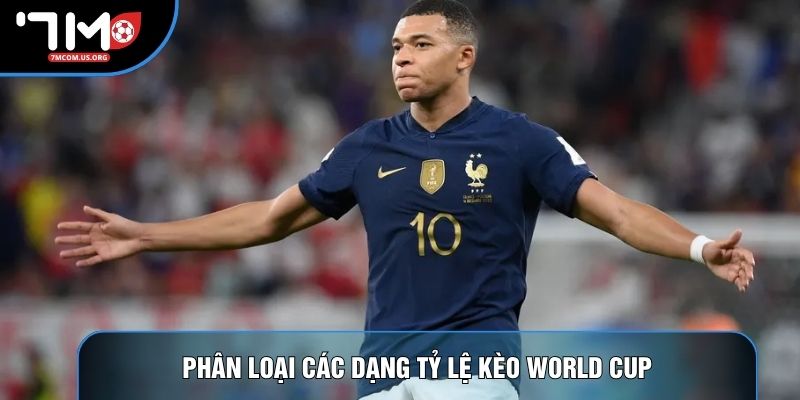 Phân loại các dạng tỷ lệ kèo World Cup