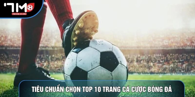 Tiêu chuẩn chọn top 10 trang cá cược bóng đá