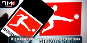 Tỷ Lệ Kèo Bundesliga - Hướng Dẫn Soi Kèo Bóng Đá Đức Chuẩn